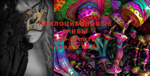 МДПВ Абдулино